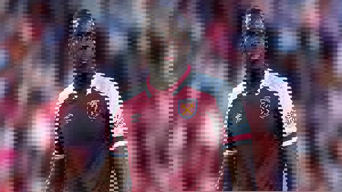 دعوى قضائية ضد كورت زوما مدافع وست هام وشقيقه إيوان بتهمة إساءة معاملة الحيوان