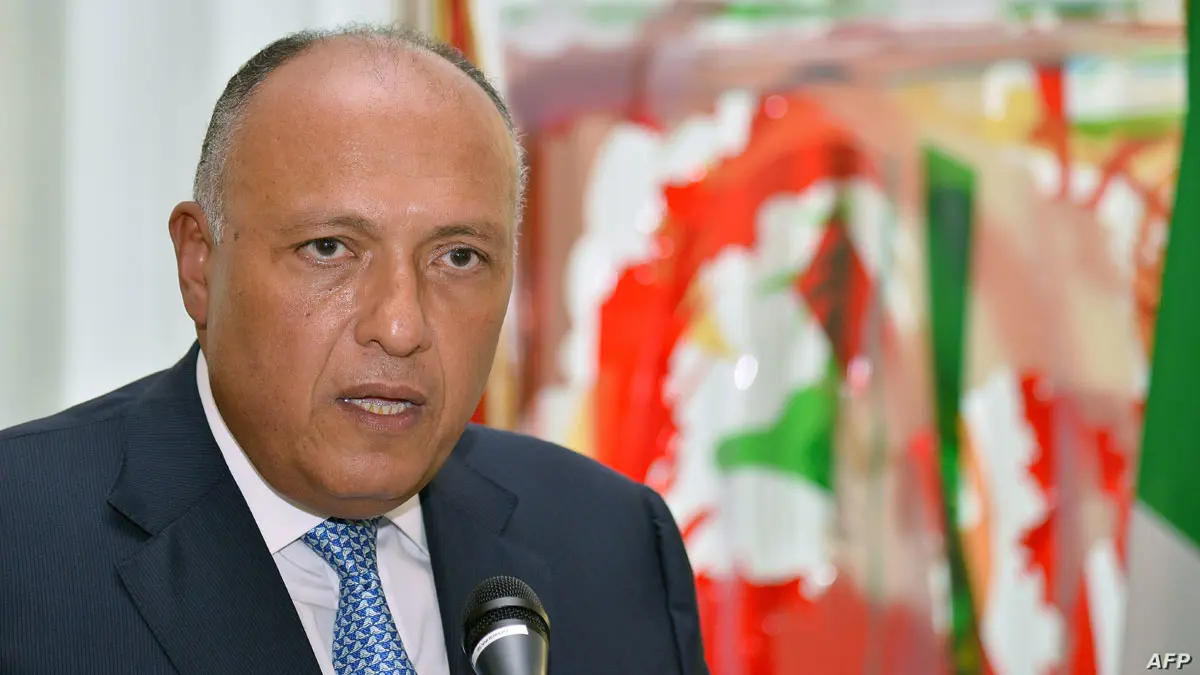 مصر: تركيا ليست من الدول التي يمكن التعاون معها بشأن التسوية في ليبيا