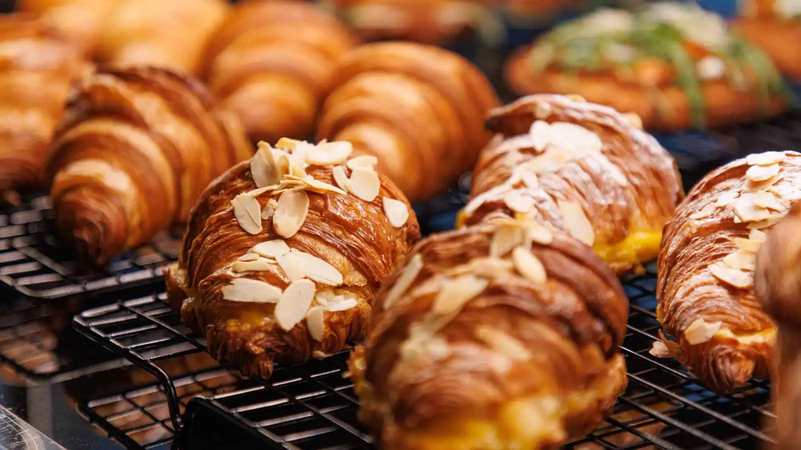 كيف تحوّل الأغذية المصنعة خلايا جسمك إلى مصنع للشوارد الحرة؟