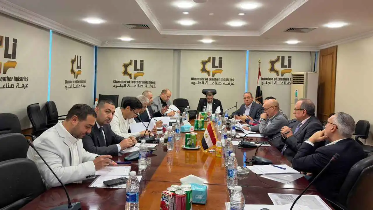 مصر.. "غرفة صناعة الجلود" تتجه للرقمنة وربط العضوية بنظام ERP