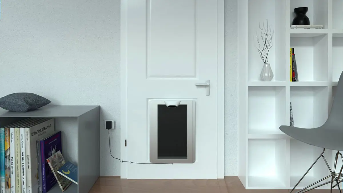 باب ذكي يتعرف على وجه الحيوان الأليف قبل السماح له بدخول المنزل