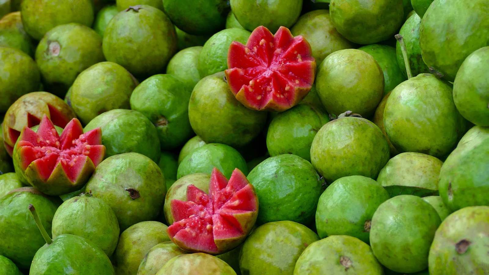 غنية بالألياف ومضادات الأكسدة.. خبراء ينصحون بالجوافة