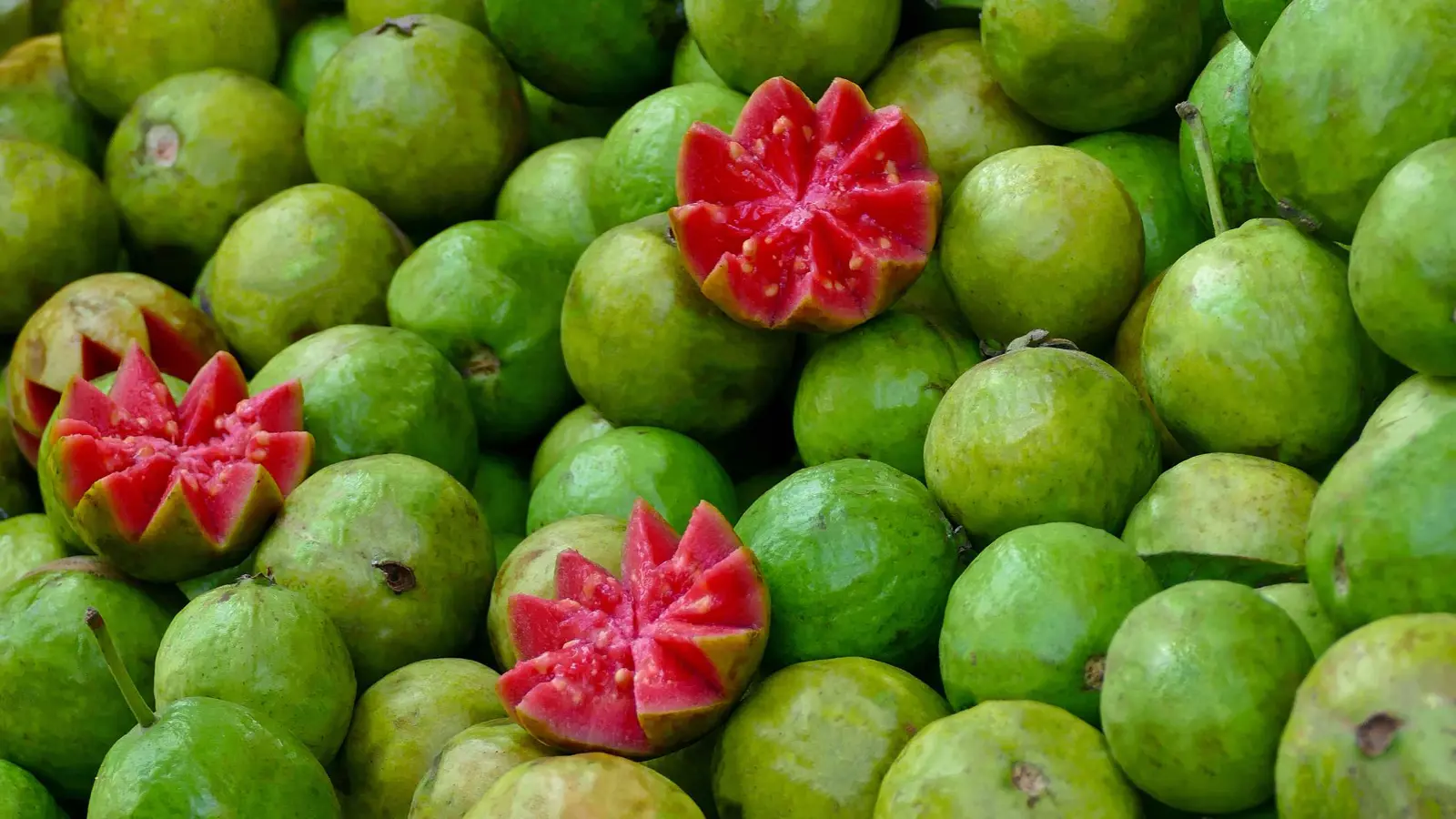 غنية بالألياف ومضادات الأكسدة.. خبراء ينصحون بالجوافة