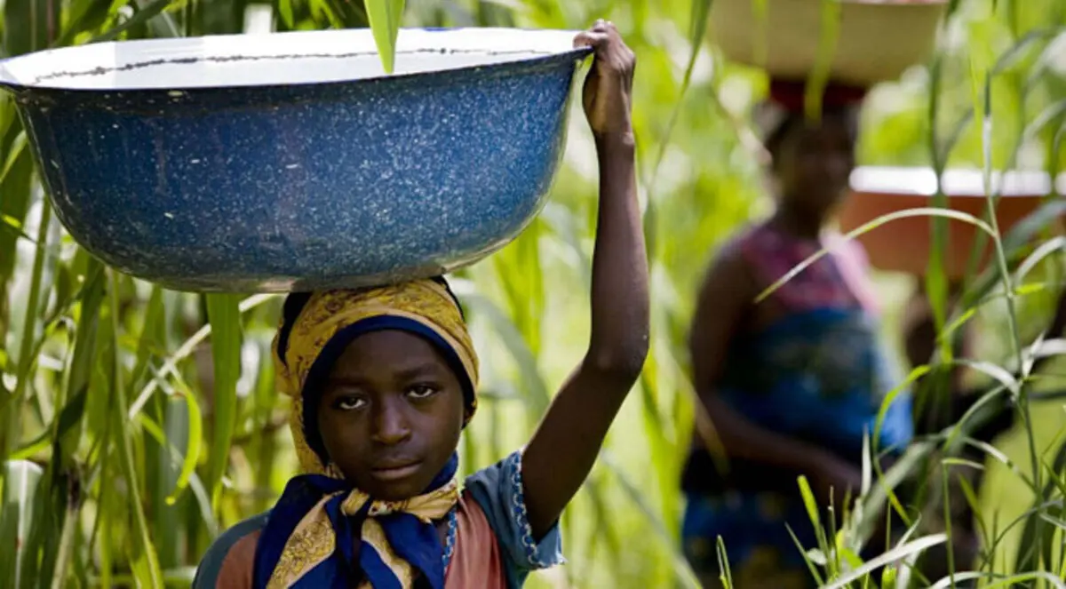عقار بيطري للقضاء على الديدان ينقذ مرضى "العمى النهري"