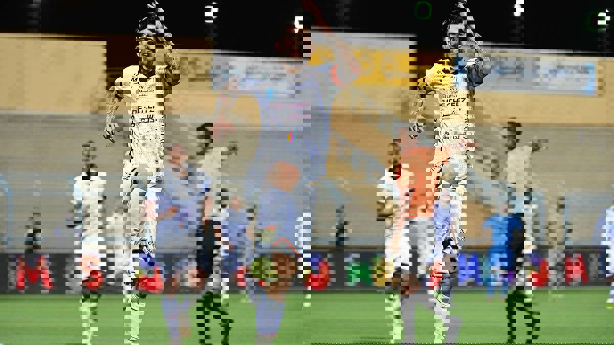 ترتيب الدوري السعودي.. الشباب يسقط الباطن برباعية ويشعل الصدارة مع الهلال (فيديو)