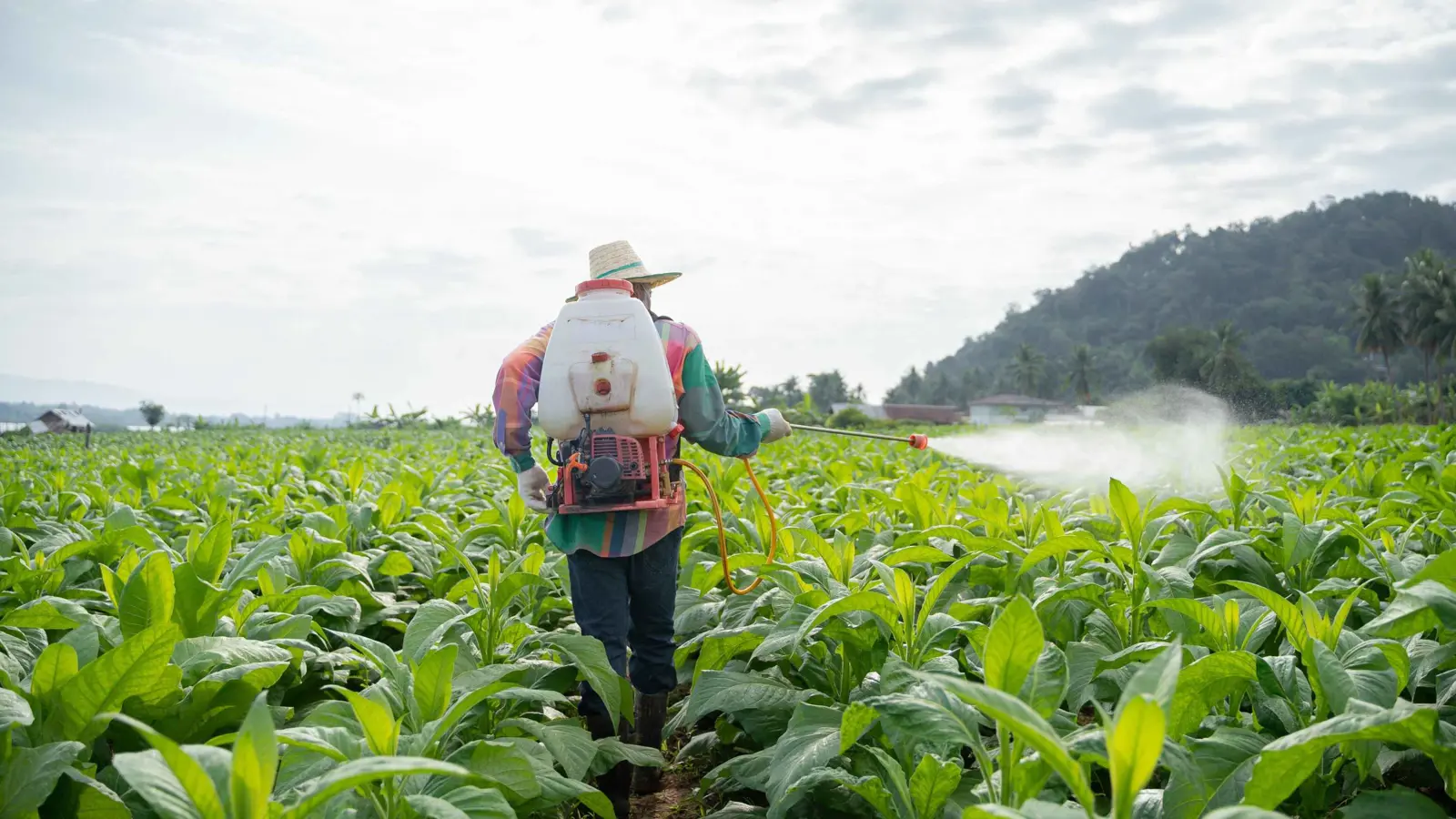 تقنية جديدة تكشف بقايا المبيدات في المنتجات الغذائية