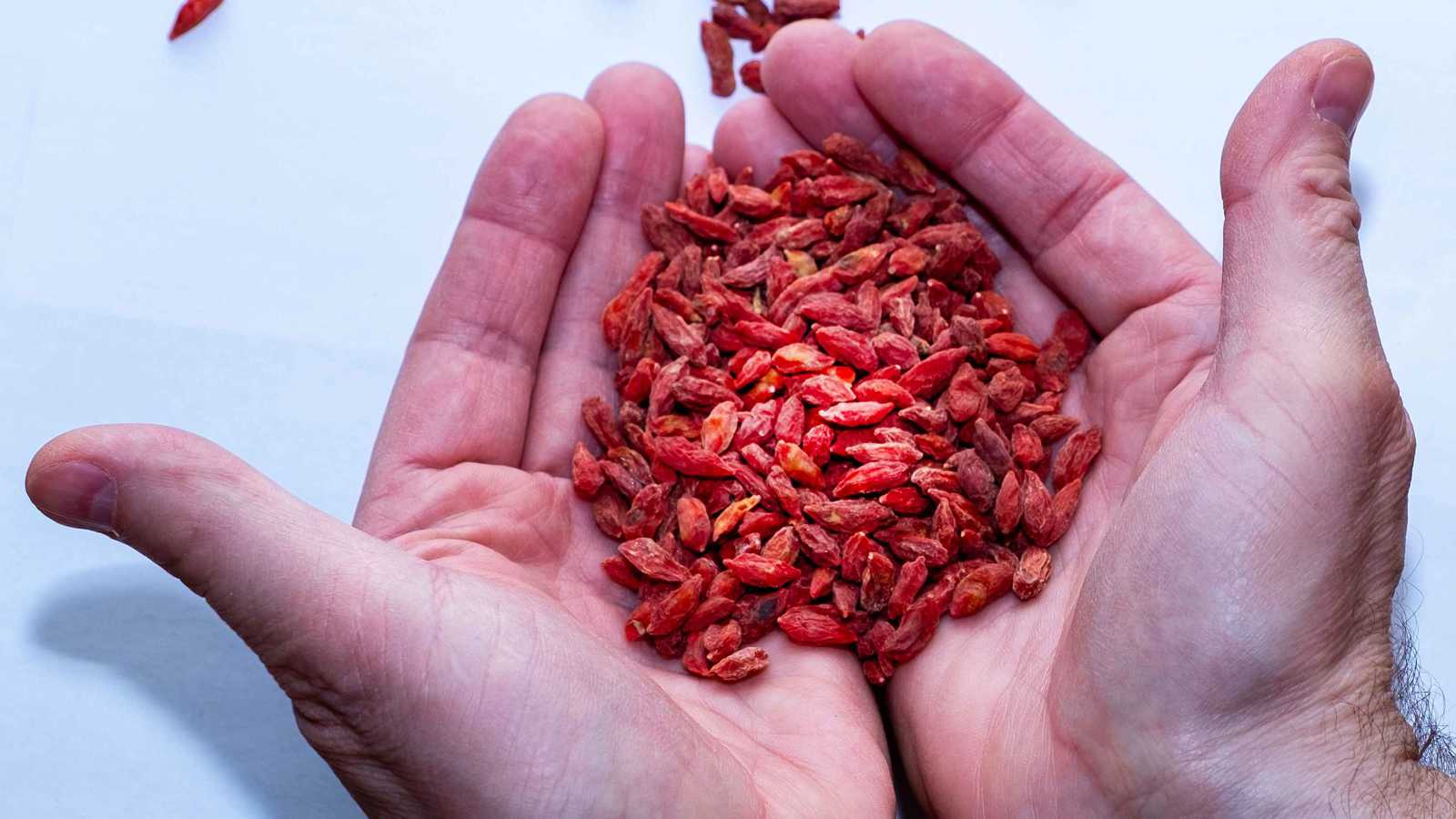 هل توت الغوجي مفيد فعلاً؟.. خبراء التغذية يجيبون