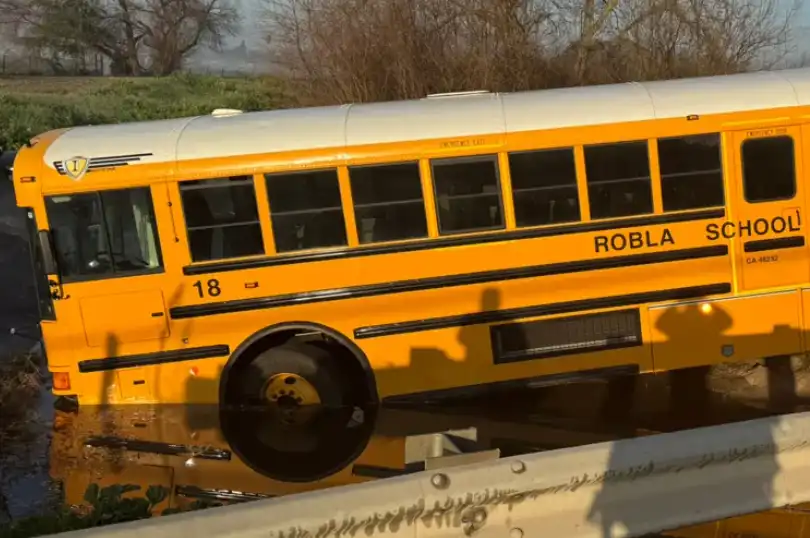 من موقع الحادث