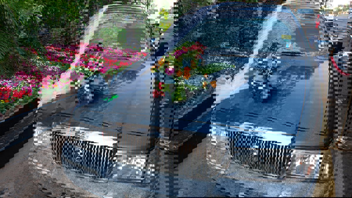 السعودية.. تزيين غير تقليدي لعروس يثير استغراب متابعين (فيديو)