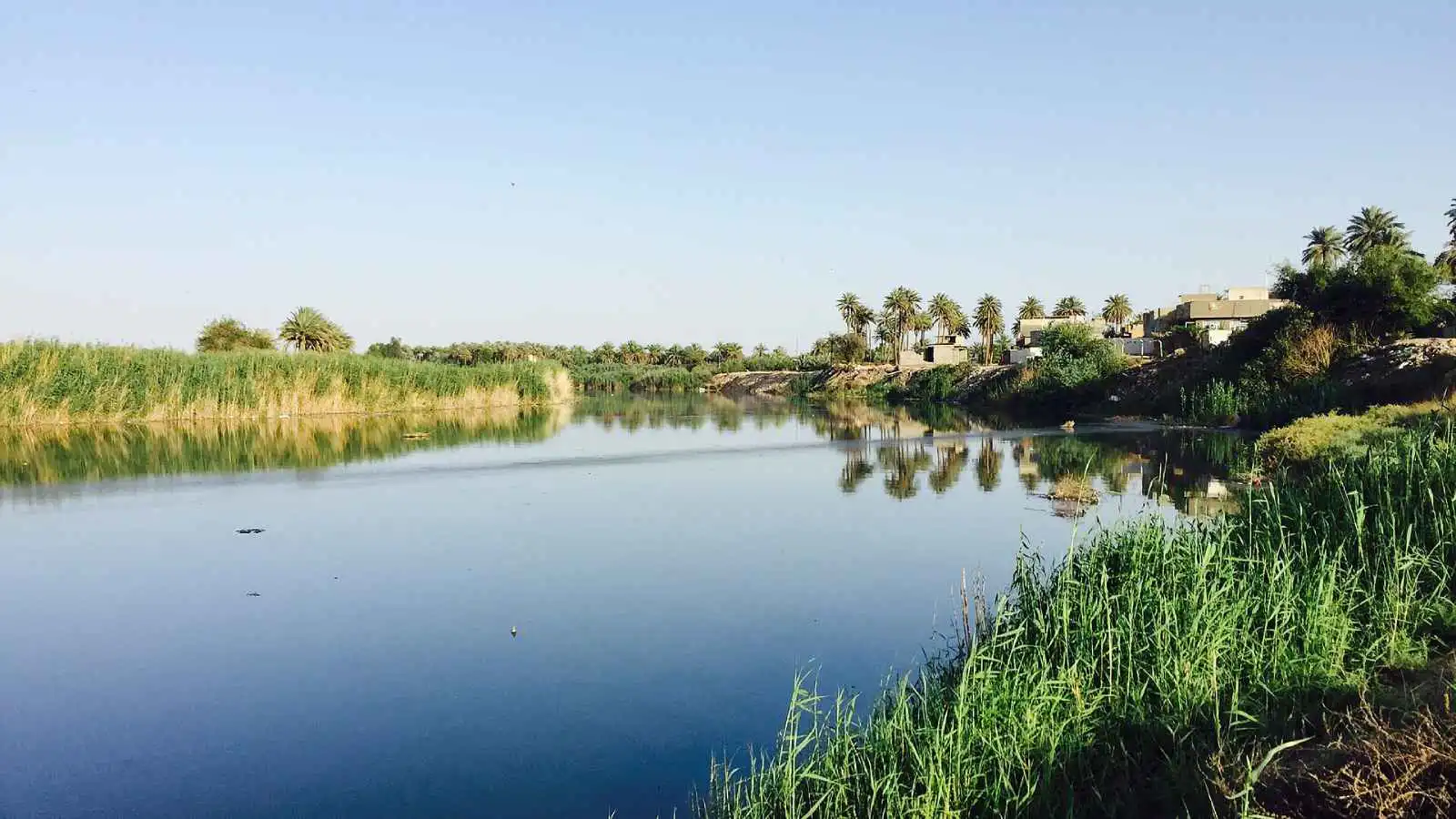 رحلة استجمام انتهت بمأساة.. وفاة إمام عراقي غرقا في نهر ديالى