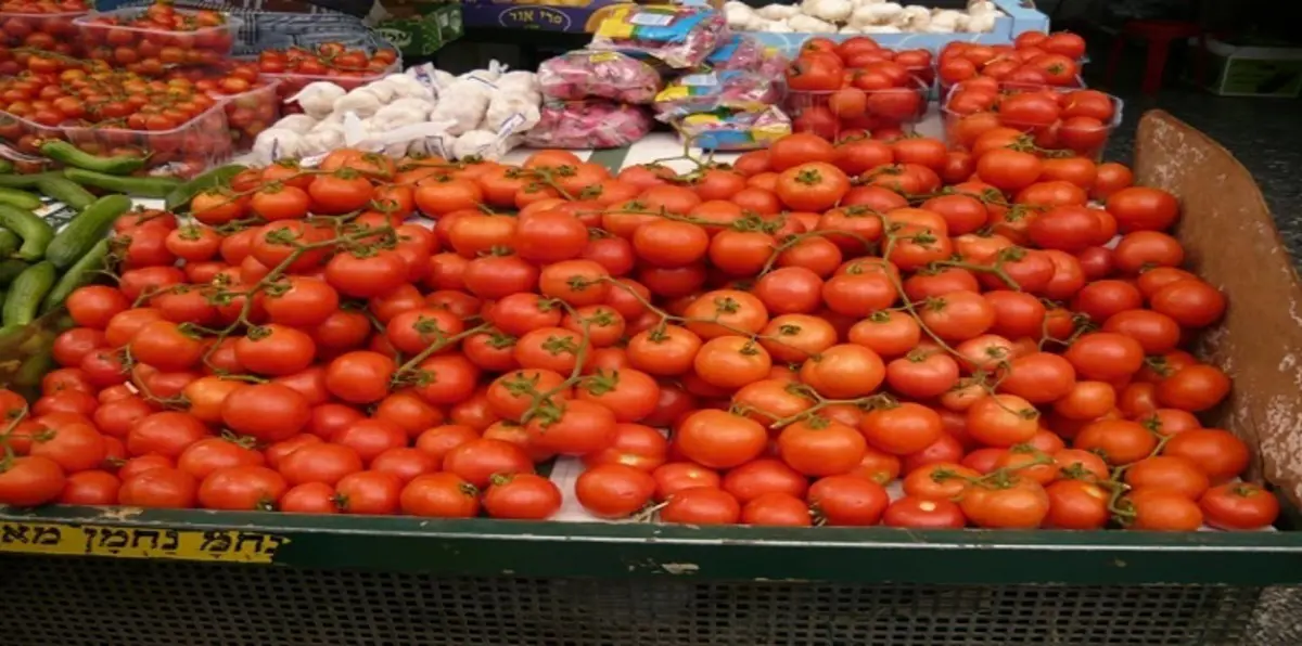 الاحتلال يوقف استيراد بندورة مسرطنة من غزة