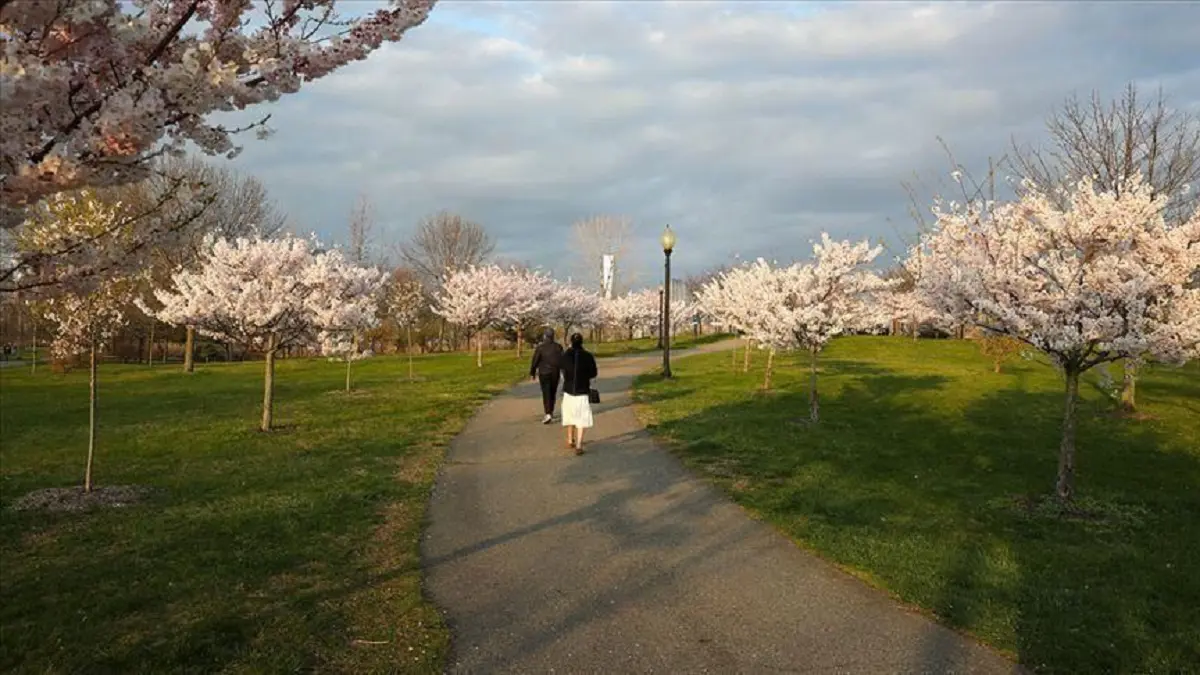 الصين تعيد فتح الحدائق والمتاحف أمام الزوار بعد إغلاقها بسبب كورونا