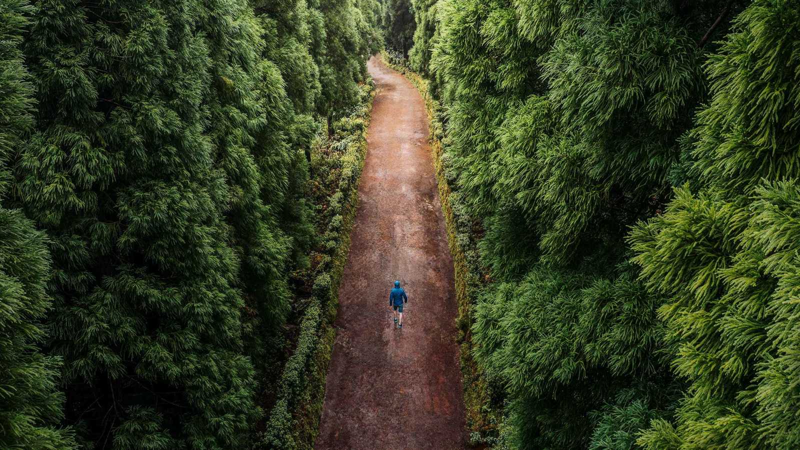 قتل والدته بالمطرقة.. وهرب إلى الغابة باحثا عنها (صور)