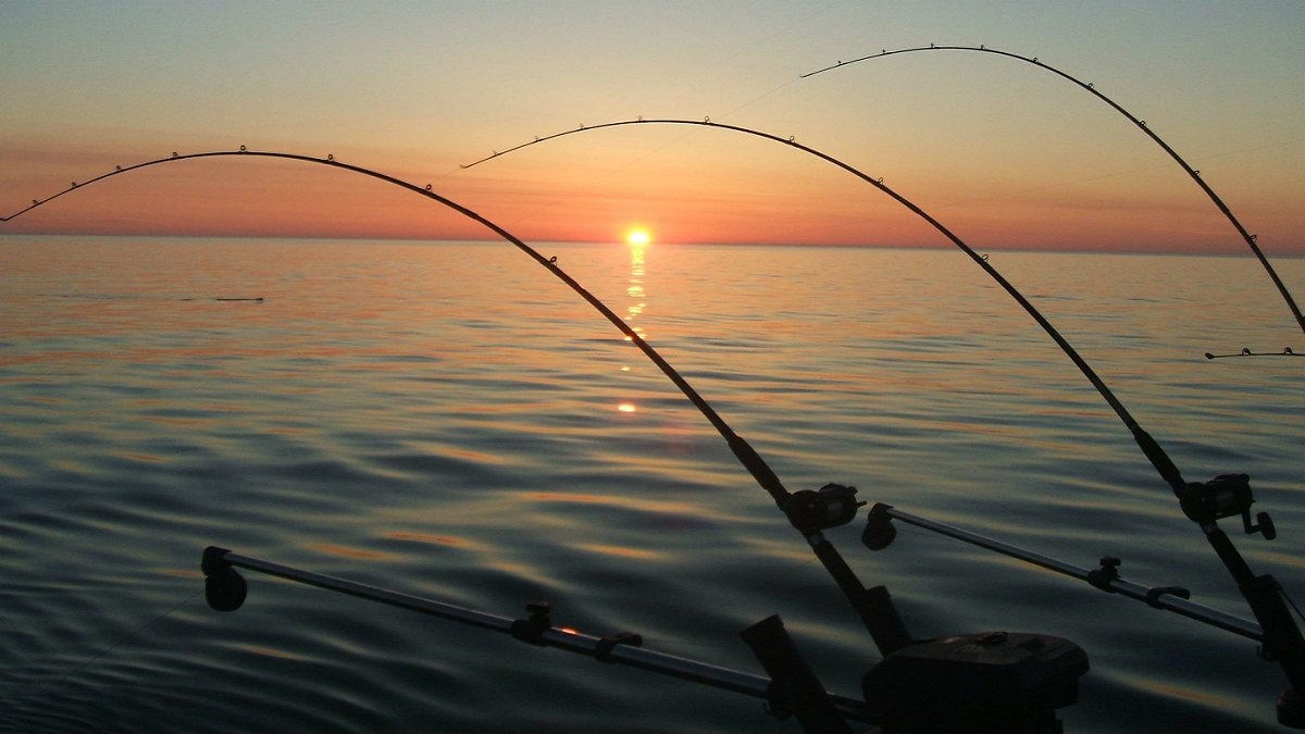 ابتكارات زمن "كورونا" .. أسترالي يصطاد السمك بسنارة "درون" (فيديو)‎