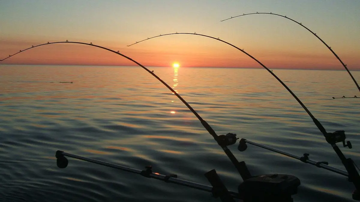 ابتكارات زمن "كورونا" .. أسترالي يصطاد السمك بسنارة "درون" (فيديو)‎