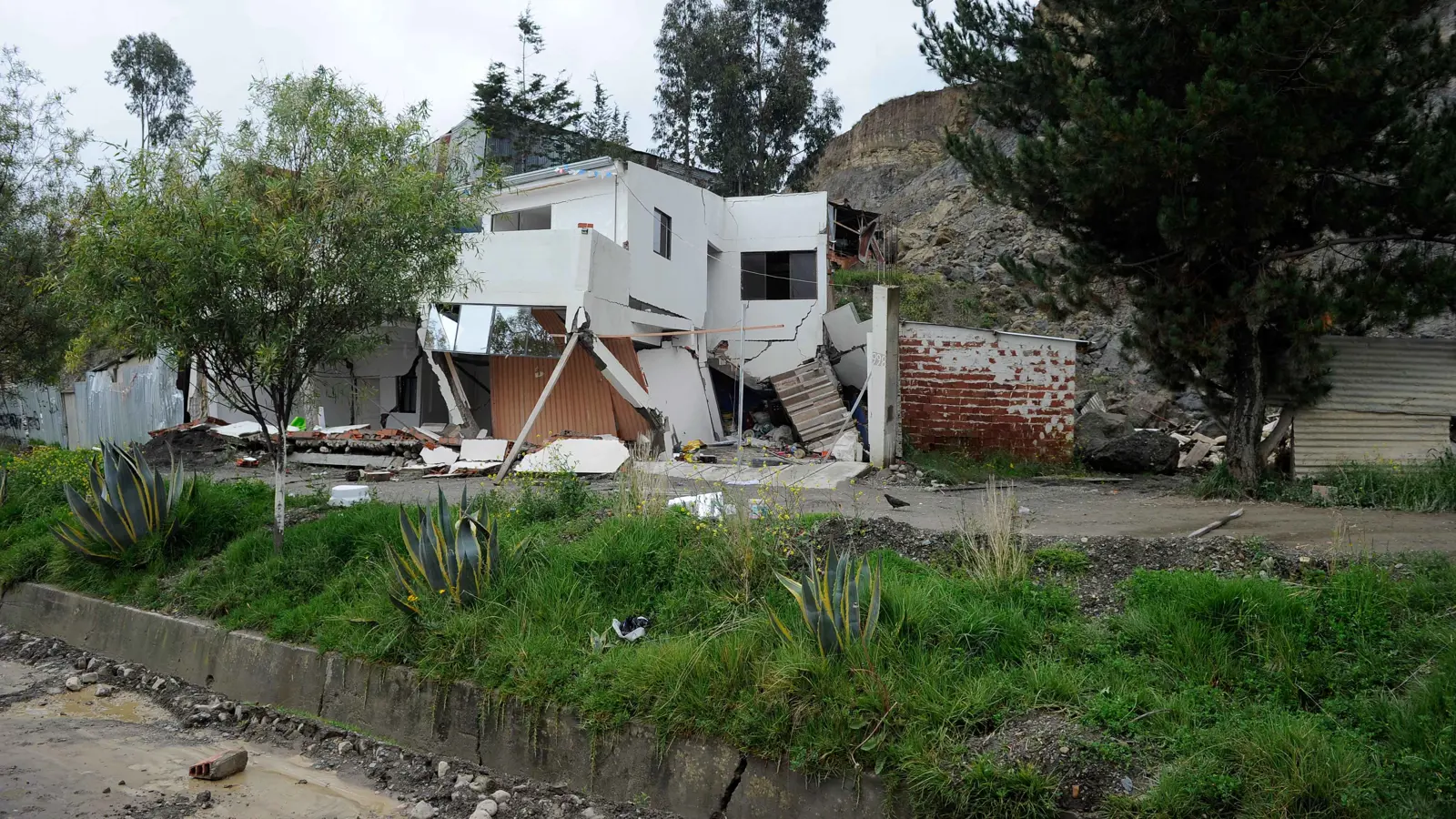 13 قتيلاً جراء حادث حافلة في بوليفيا