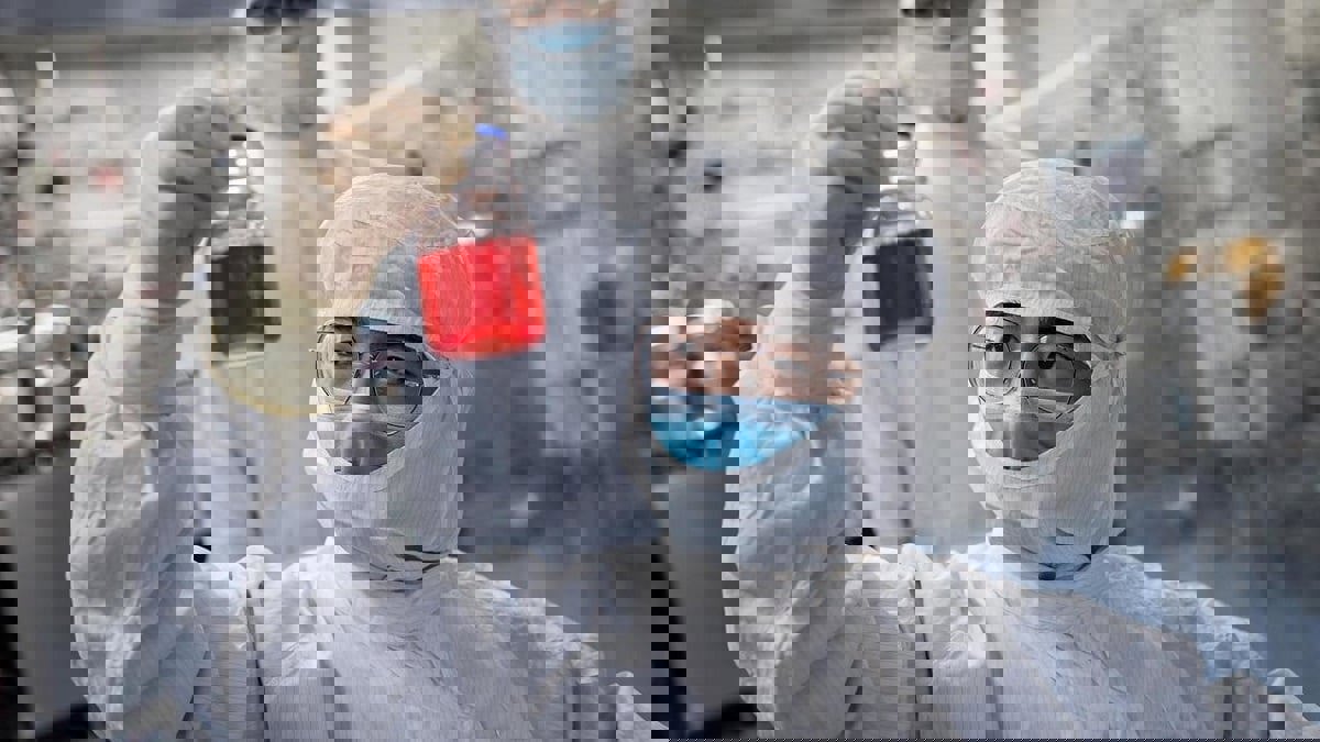 مجازفة هائلة.. أثرياء الهند يراهنون على تطوير لقاح كورونا قبل بقية العالم