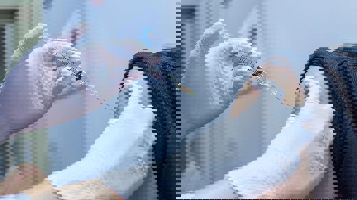 لعدم التزام النواب بـ"الدور".. لقاح كورونا يشعل غضب اللبنانيين ضد وزير الصحة