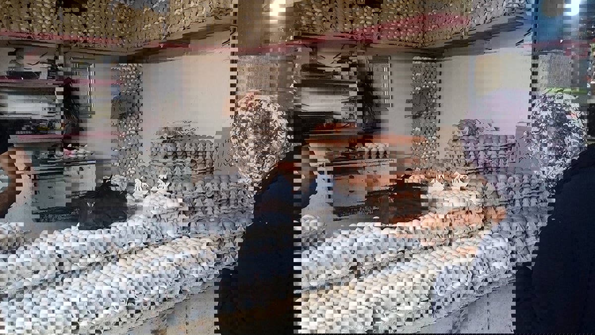 سوريون يشتكون ارتفاع الأسعار: أسواق الفقراء أصبحت "خمس نجوم"