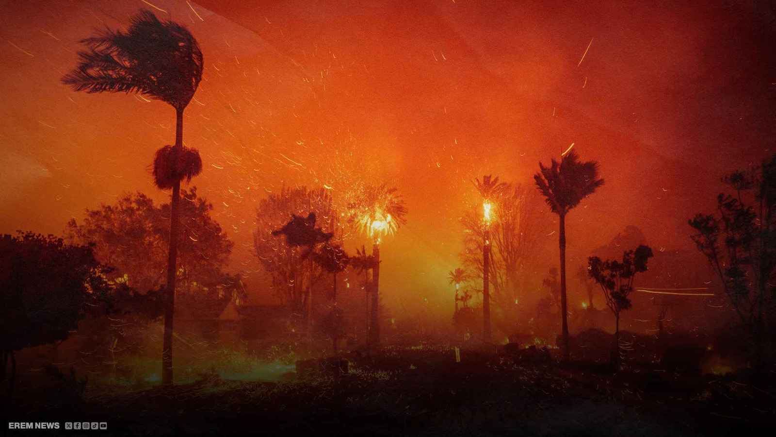 الأبنية والأراضي تفحمت.. هذا ما أحرقته نيران لوس أنجلوس بالأرقام