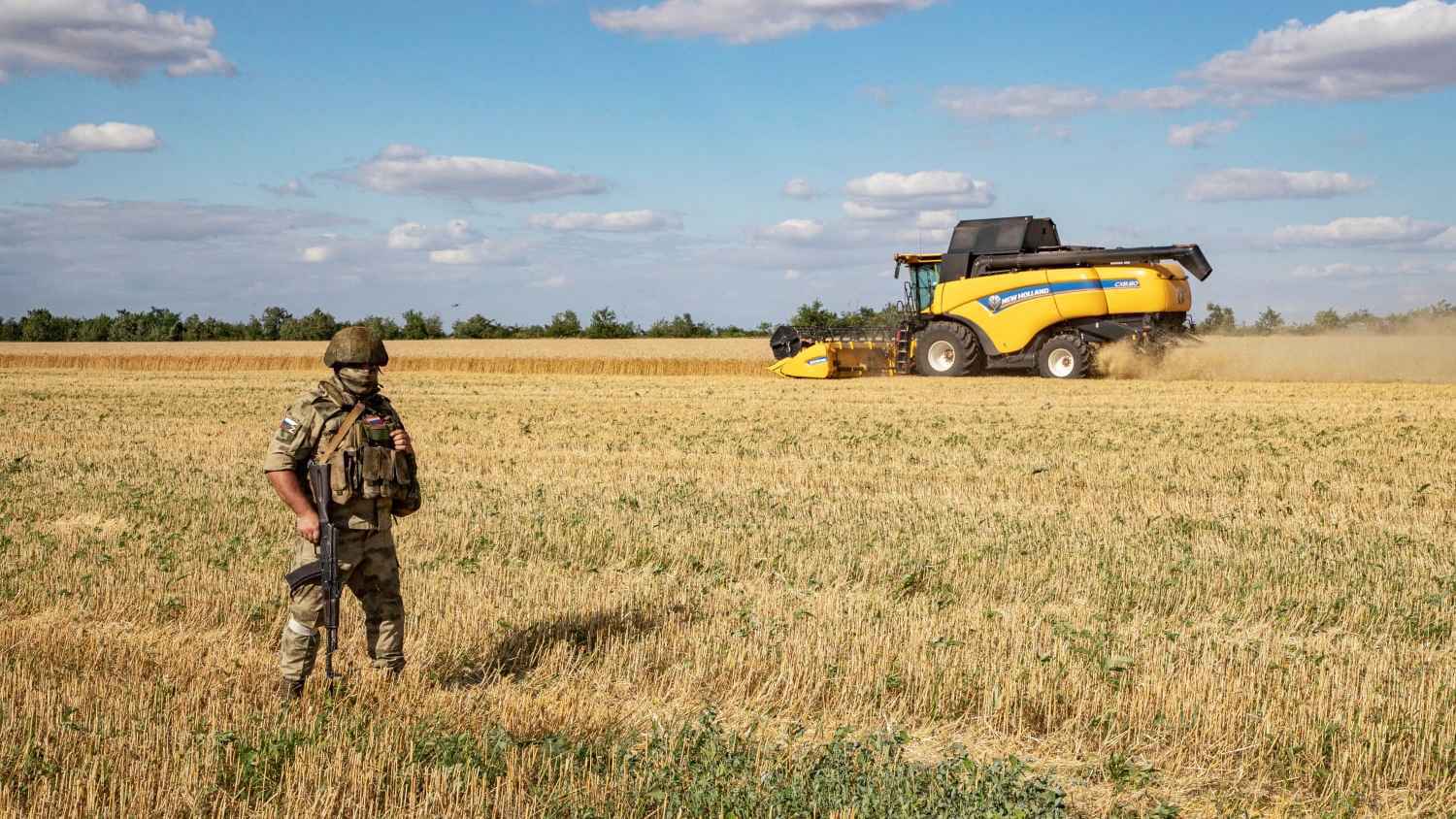 لاستيرادها "حبوبًا مسروقة".. أوكرانيا تدعو لفرض عقوبات على بنغلادش