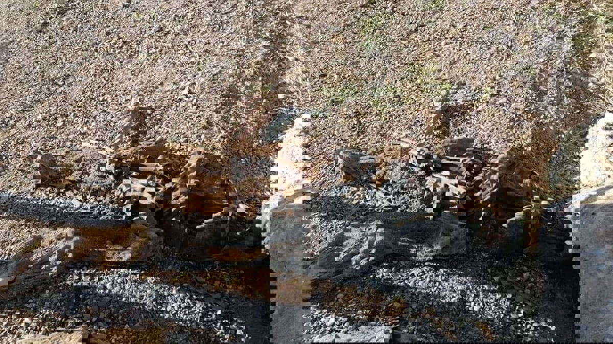 العراق.. العثور على مقبرة جماعية في الأنبار وتحقيقات لمعرفة هويات المدفونين (صور)