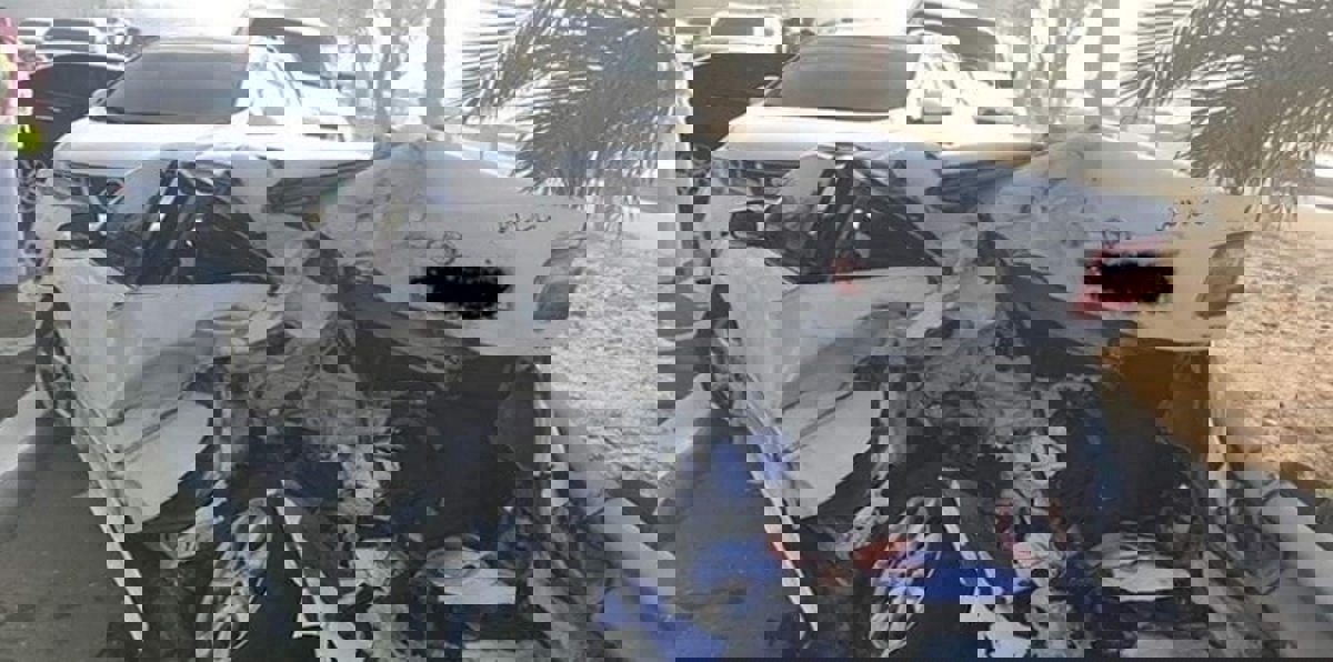 بالصور.. تصادم 25 سيارة على طريق سريع في الإمارات