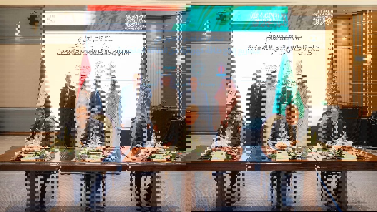 "أكوا باور" السعودية توقع اتفاقًا لإنشاء مشروع كهرباء في مصر