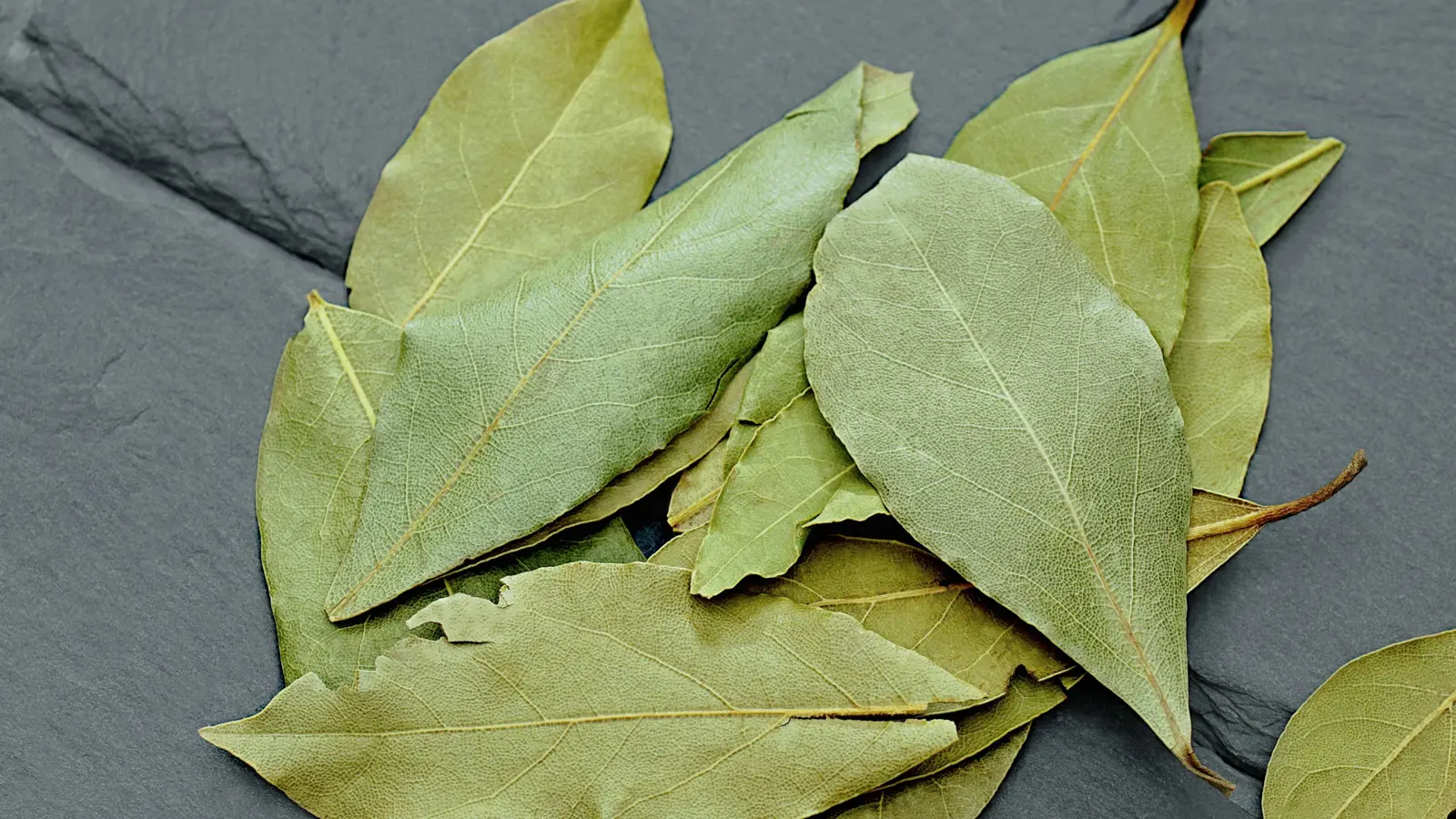 تحذيرات من مخاطر تناول أوراق الغار