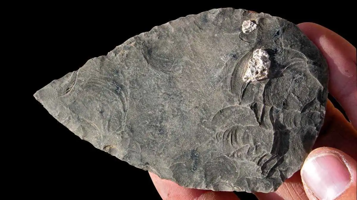 "هياكل بشرية" تكشف أسرار الحياة والموت قبل 100 ألف عام (صور)