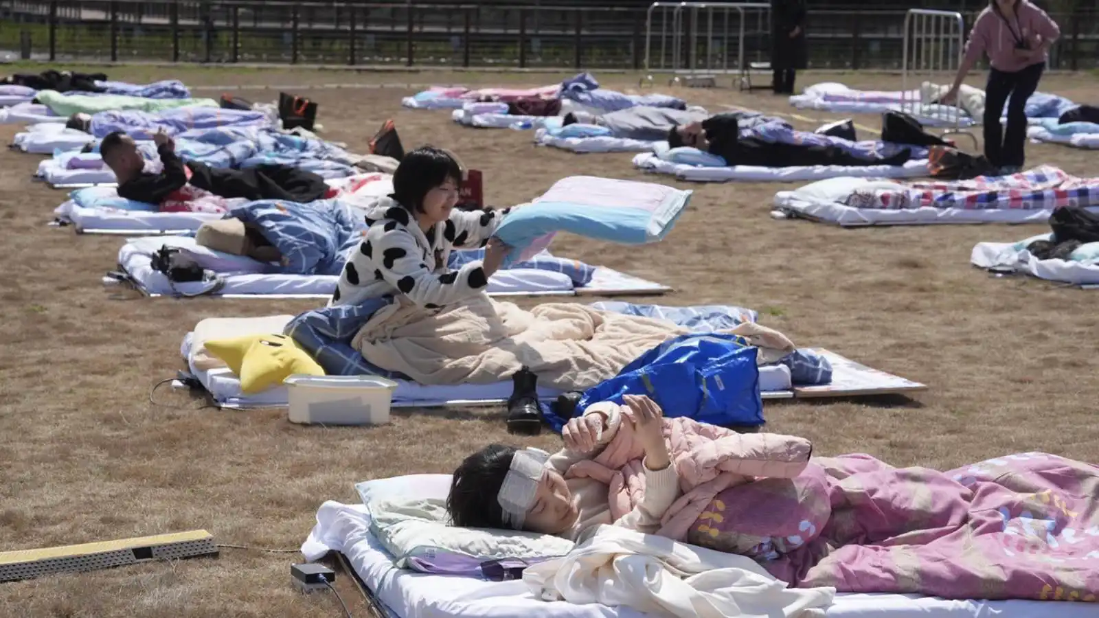 شنغهاي تنظم مسابقة "النوم في الغابة".. وجوائز مغرية