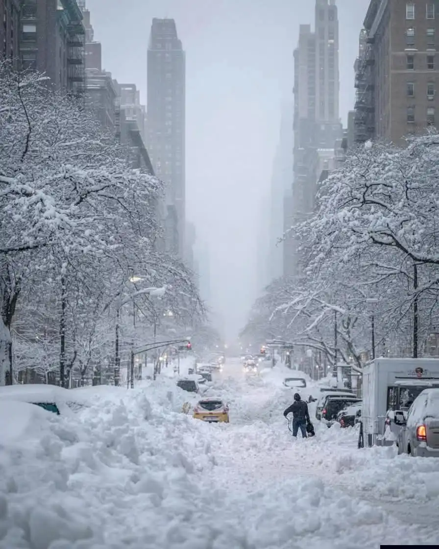 عاصفة ثلجية في نيويورك