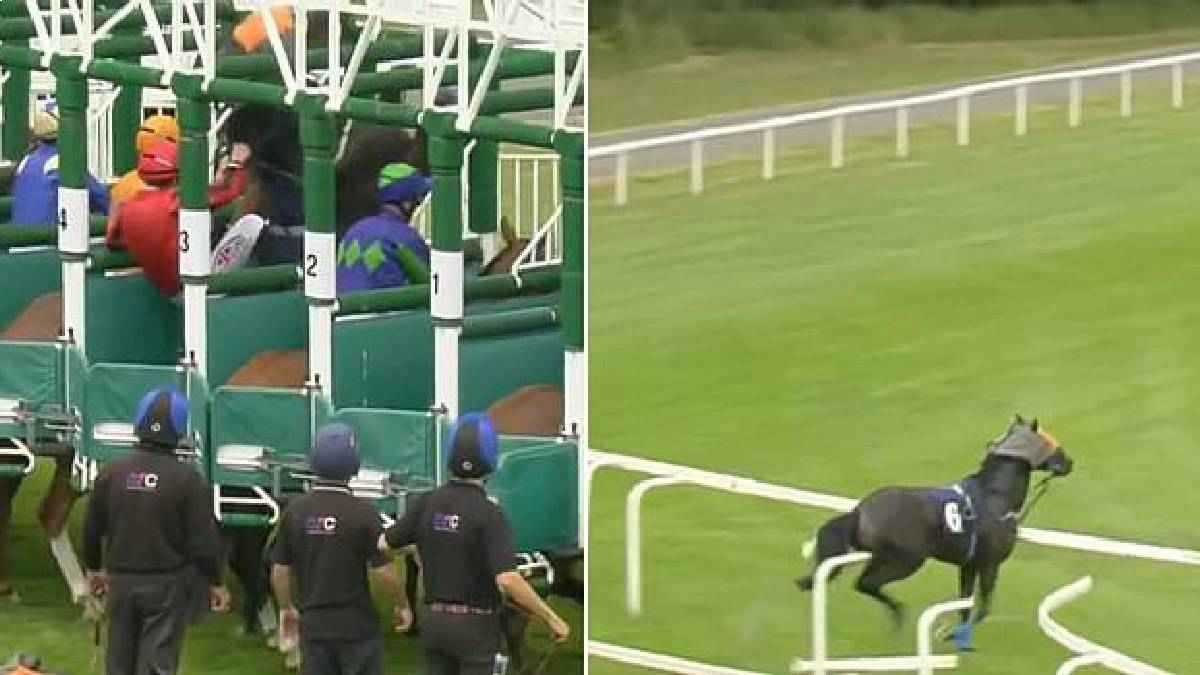 كارثة خلال سباق في إنجلترا بسبب حصان معصوب العينين (صور)