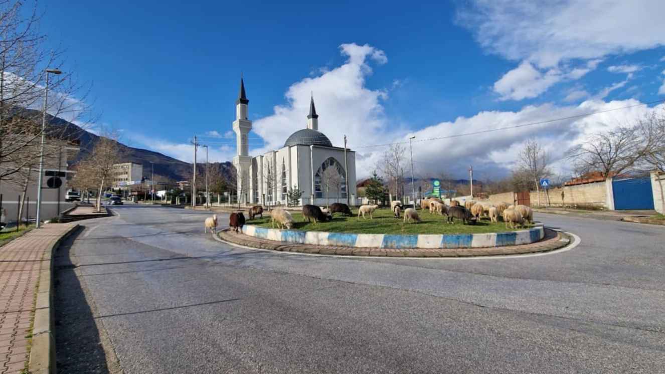 كيف يعيش مسلمو ألبانيا أجواء شهر رمضان؟