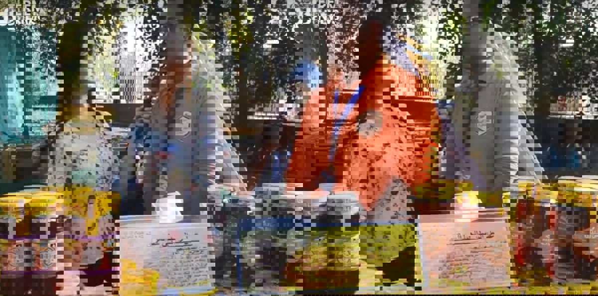 عالم النحل.. خلايا من الذهب السائل (فيديو إرم)