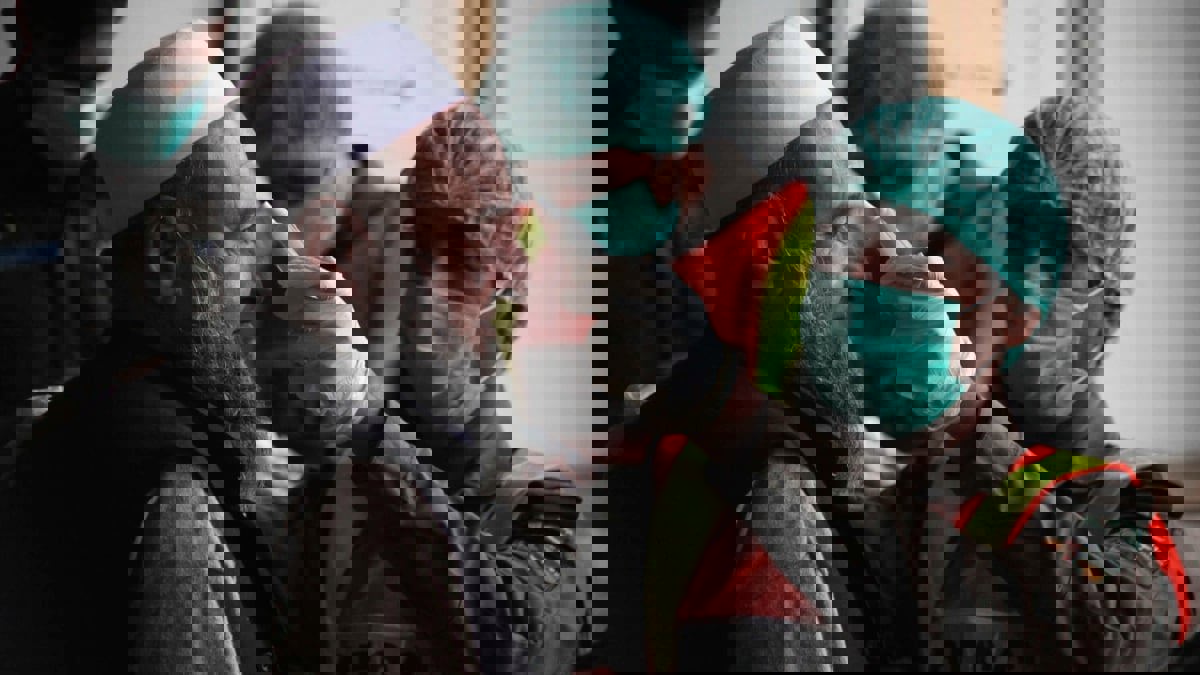 في ظل كورونا.. باكستان ترفع القيود عن صلاة الجماعة بالمساجد