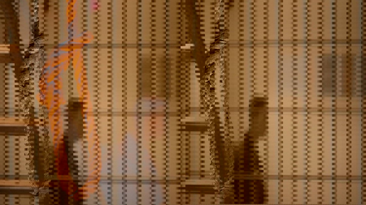 صحف عالمية: أول حكم إعدام في التاريخ عبر "زوم" .. واليونان تعفي السياح من حجر "كورونا"