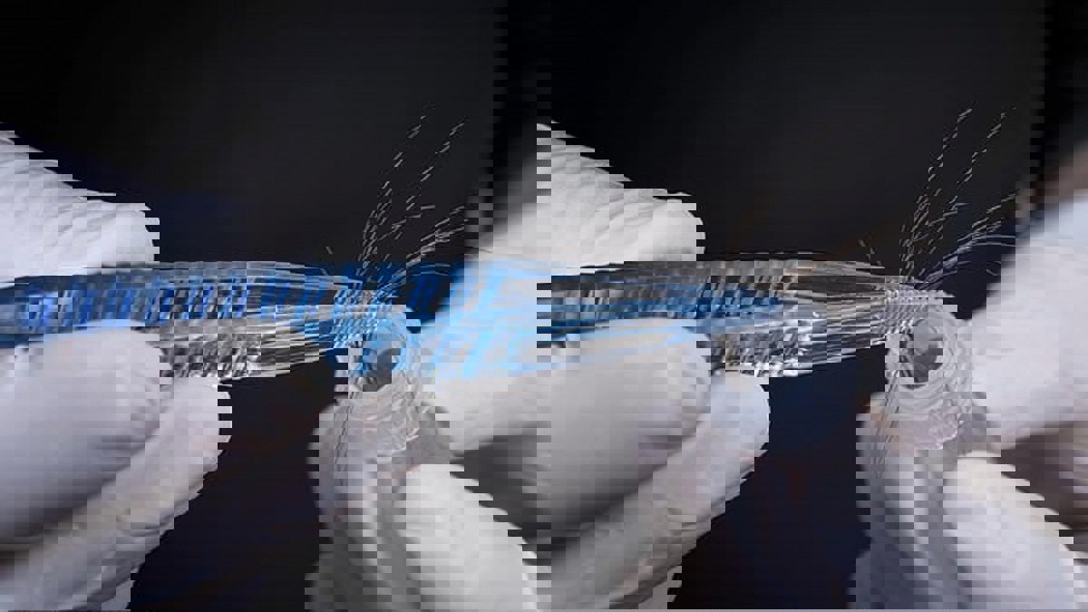 لكشف أصعب الجرائم.. اختبار جديد ينهي عصر تحليلات الحمض النووي