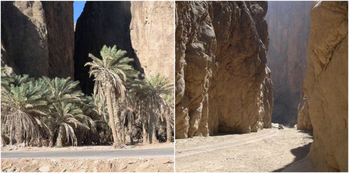 بالصور.. "مضرب عصا موسى" على خريطة مشروع "نيوم" في السعودية