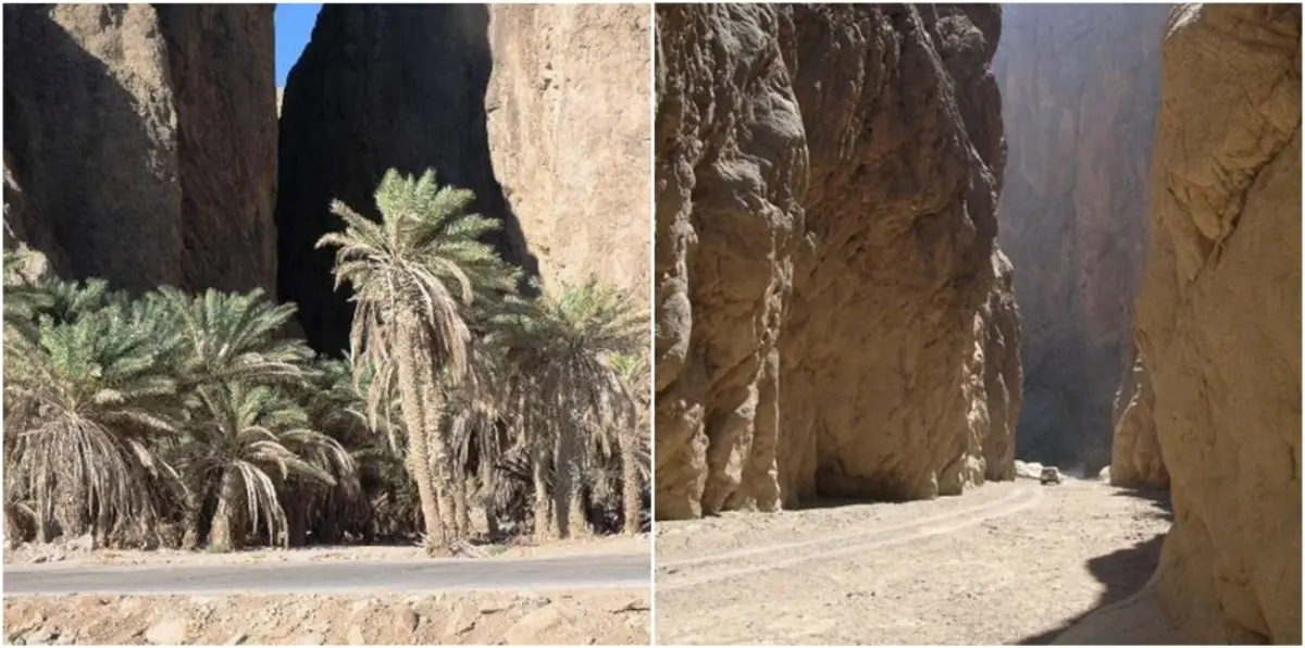 بالصور.. "مضرب عصا موسى" على خريطة مشروع "نيوم" في السعودية