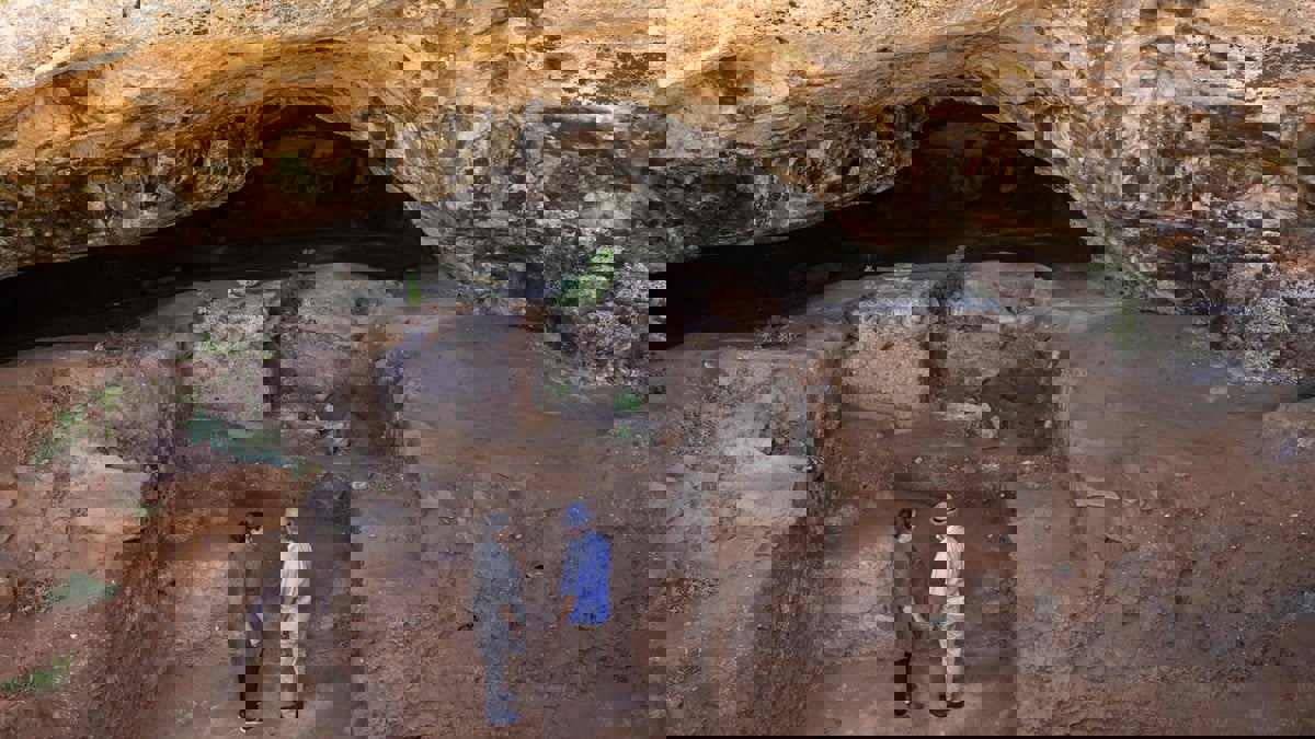 دراسة: المغاربة اعتمدوا على النباتات أكثر من اللحوم قبل 15 ألف عام