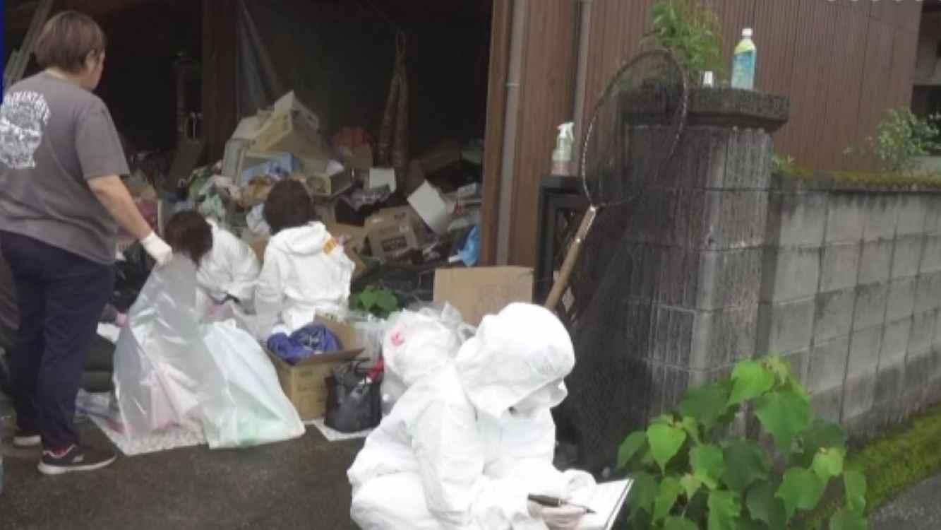 اليابان.. منزل "متطوعة" يتحول إلى مقبرة لأكثر من 100 قطة