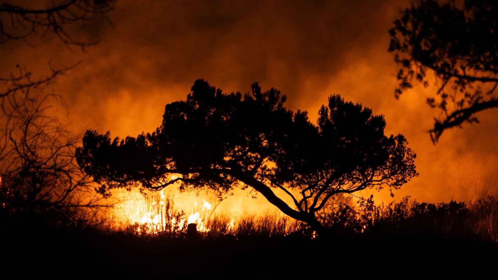 "أيام مخيفة".. لوس أنجلس تترقب تأجج الحرائق