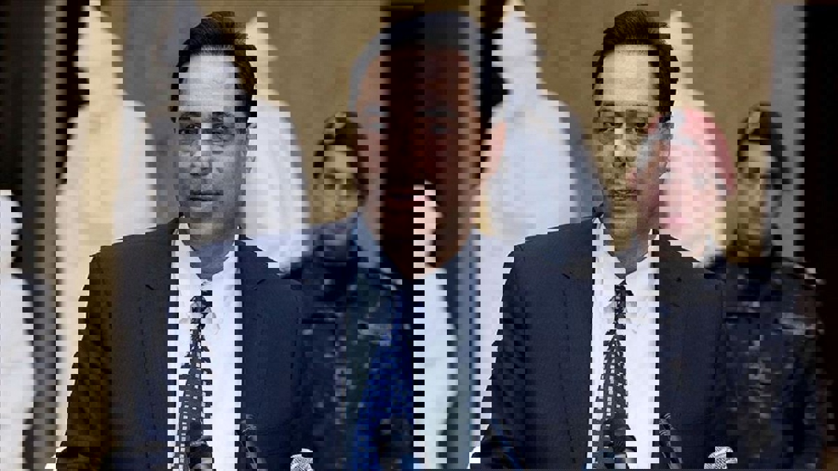 دياب: الحكومة الجديدة تشكيلة إنقاذ وطني لكل اللبنانيين