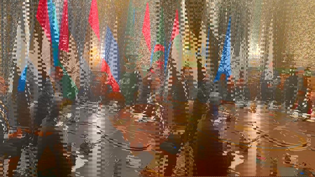 وزير خارجية مصر: الدول العربية عرضت الوساطة بين روسيا وأوكرانيا