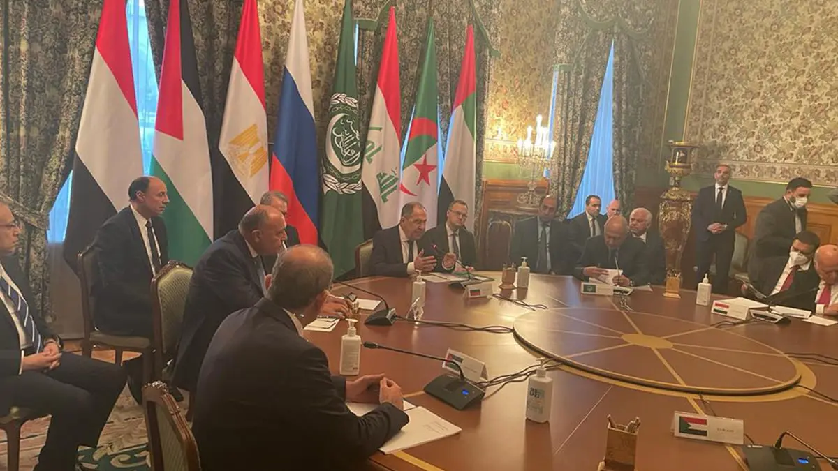 وزير خارجية مصر: الدول العربية عرضت الوساطة بين روسيا وأوكرانيا