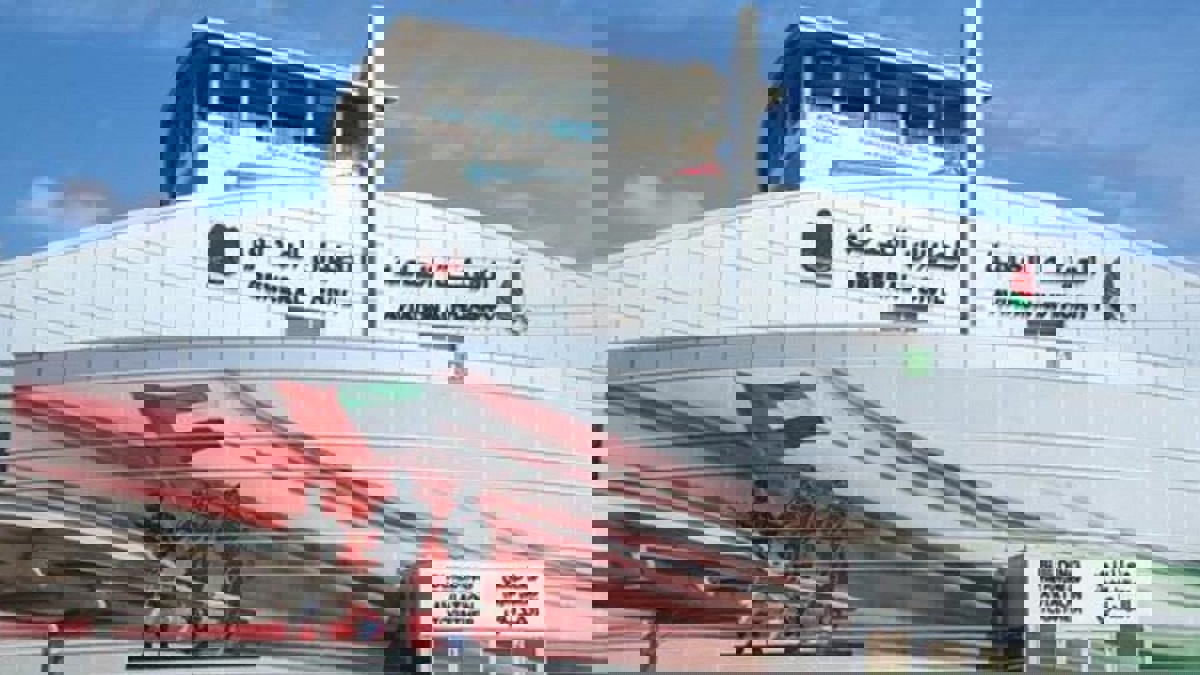 هيئة الطيران الإماراتية تنضم للجنة أمريكية بشأن بوينغ 737 ماكس