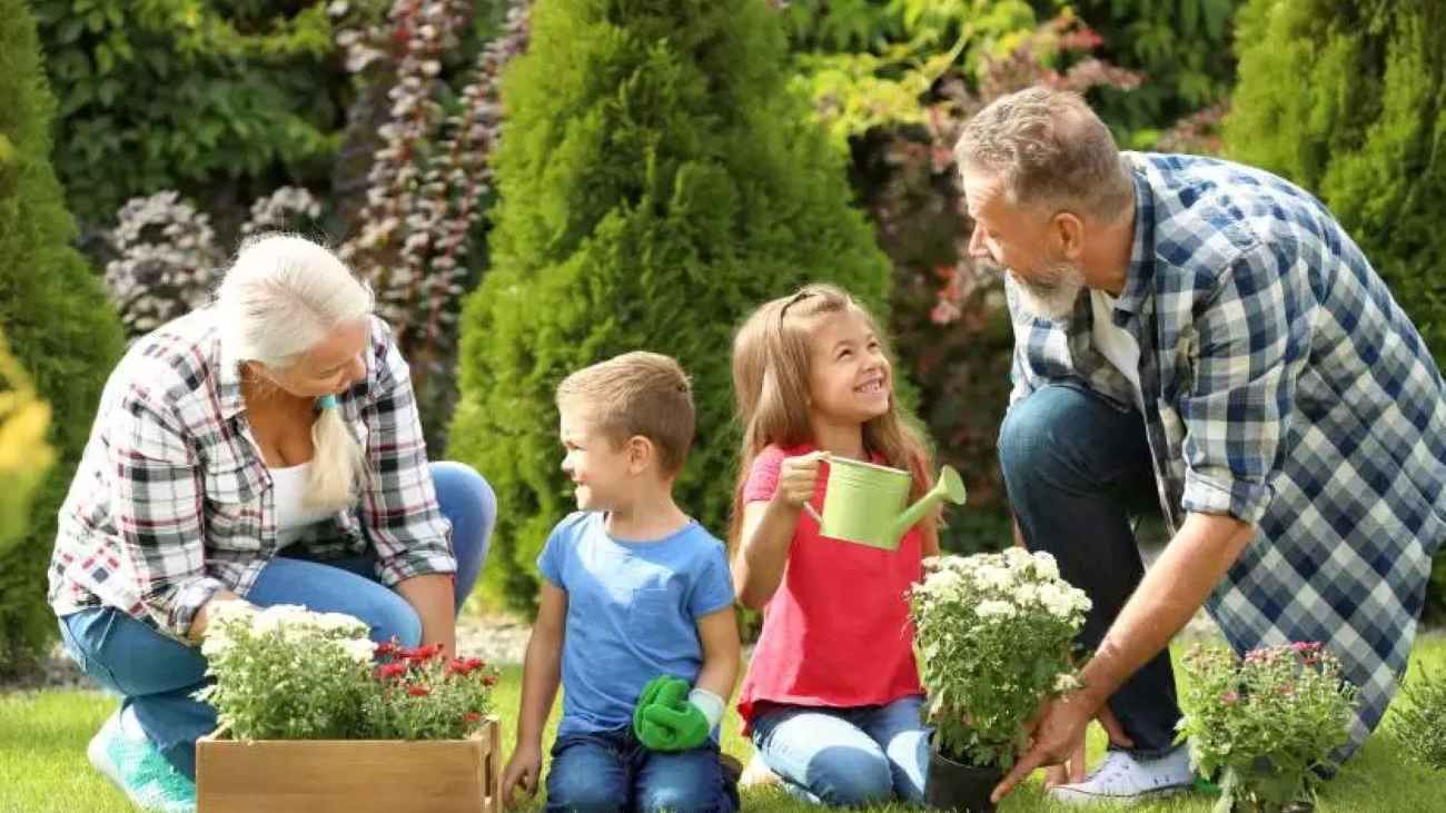 كيف يستطيع الأحفاد إطالة أعمار أجدادهم؟ دراسة تكشف "السر"