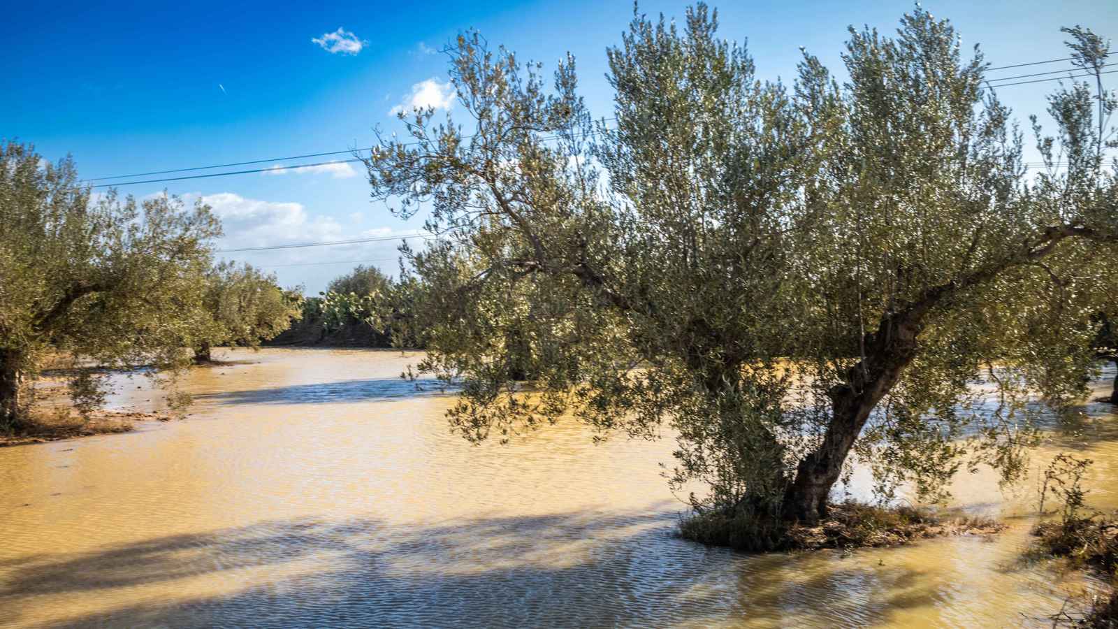 تعليق الدراسة في ولايات تونسية جراء الأمطار