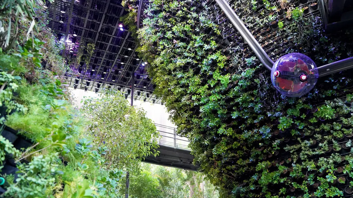 سنغافورة في "إكسبو دبي".. غابة تقدم نظاما مناخيا ذاتي التكييف